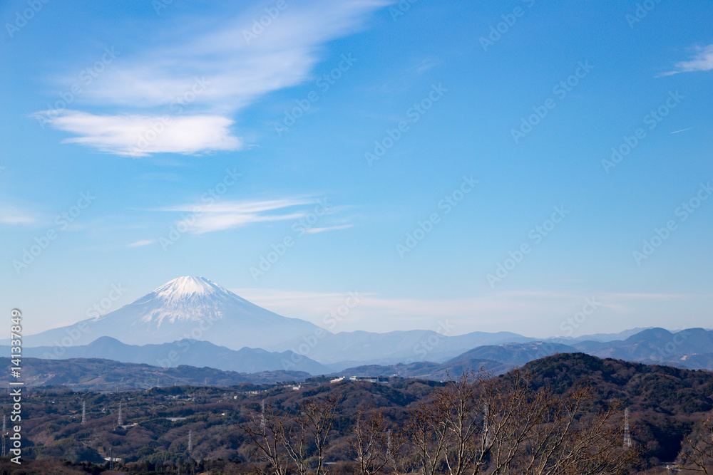 湘南平から眺める富士山