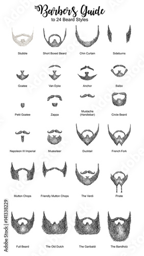 Barbers guide for beard styles vector