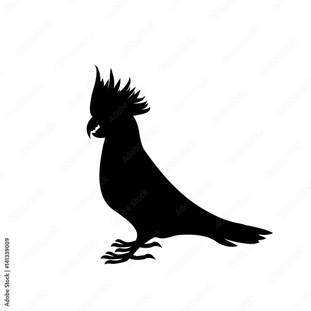 Fototapeta premium Black silhouette of a big cockatoo parrot on a white background.