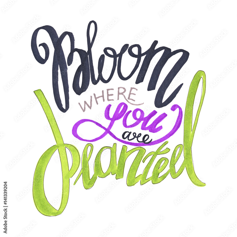 Naklejka premium Bloom Where You Are Planted Painting Hand Drawn