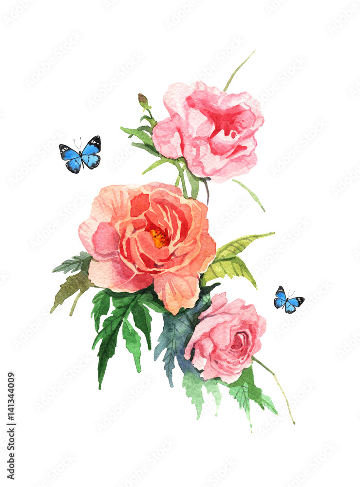 Fototapeta akwarela ilustracja kwiatu różowej piwonii na białym tle