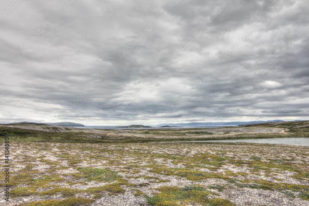 Northern Norwegian landscape