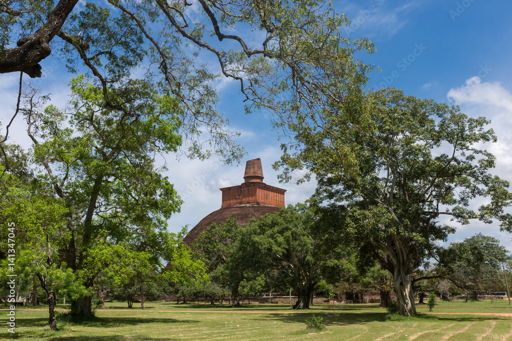 Fototapeta premium Jetavaranama dagoba, Anuradhapura, Sri Lanka