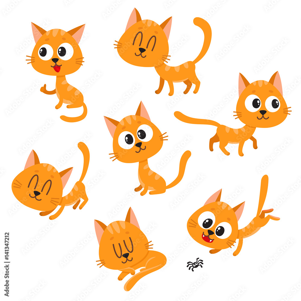 Fototapeta Set of cute and funny red cat character showing different emotions, playing, sleeping, sitting, standing, cartoon vector illustration isolated on white background. Cute and funny red cat character