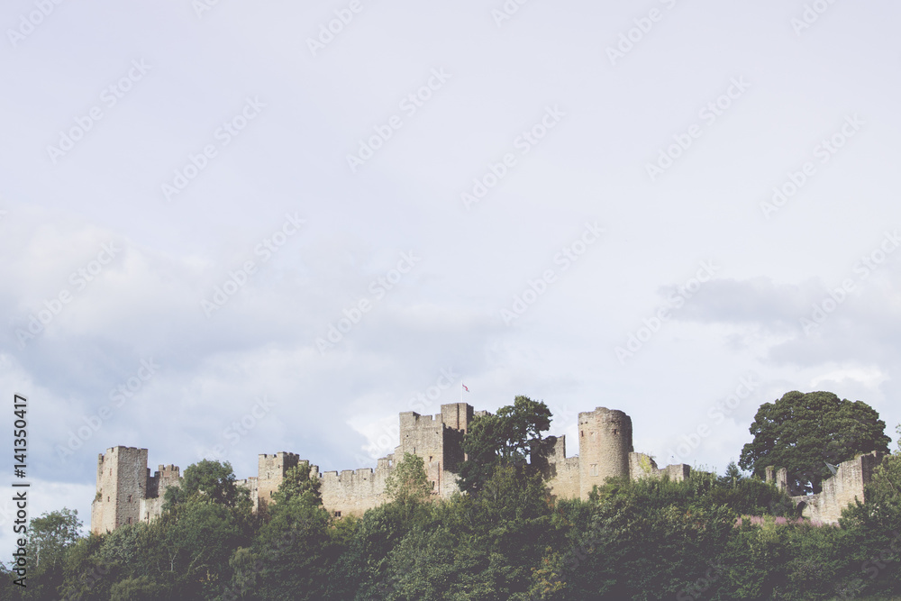 Fototapeta premium castle and sky