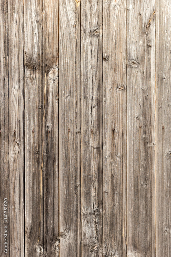 Naklejka premium The old wood texture with natural patterns