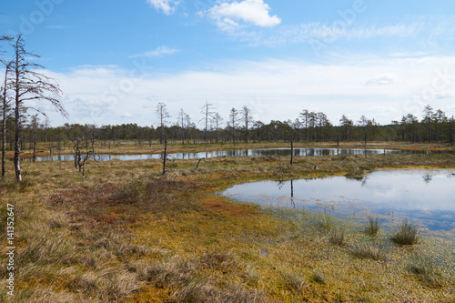 View of the Viru Raba bog with several lakes in Estonia