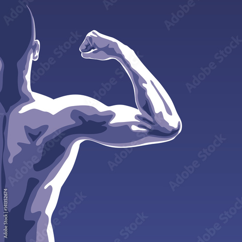 Muscle - Biceps - Musculature - Musclé - Sport