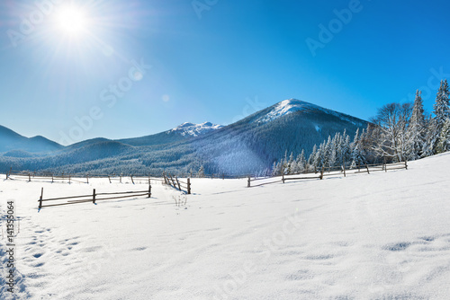 Winter landscape with white field