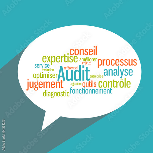 Bulle nuage de mots : Audit