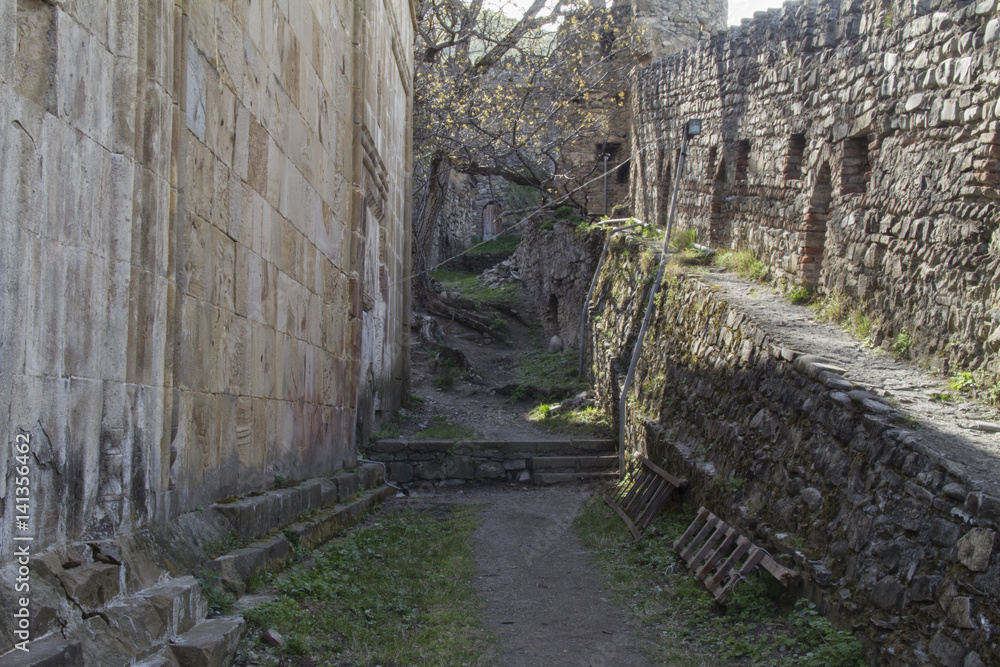 ruins of the Fortress Ananuri  - Tbilisi - Georgia