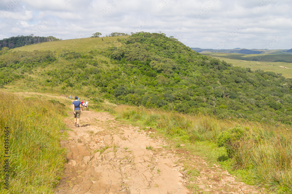 Trail at Fortaleza Canyon