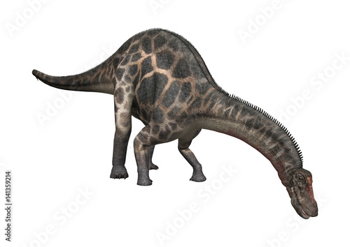 3D Rendering Dinosaur Dicraeosaurus on White photo