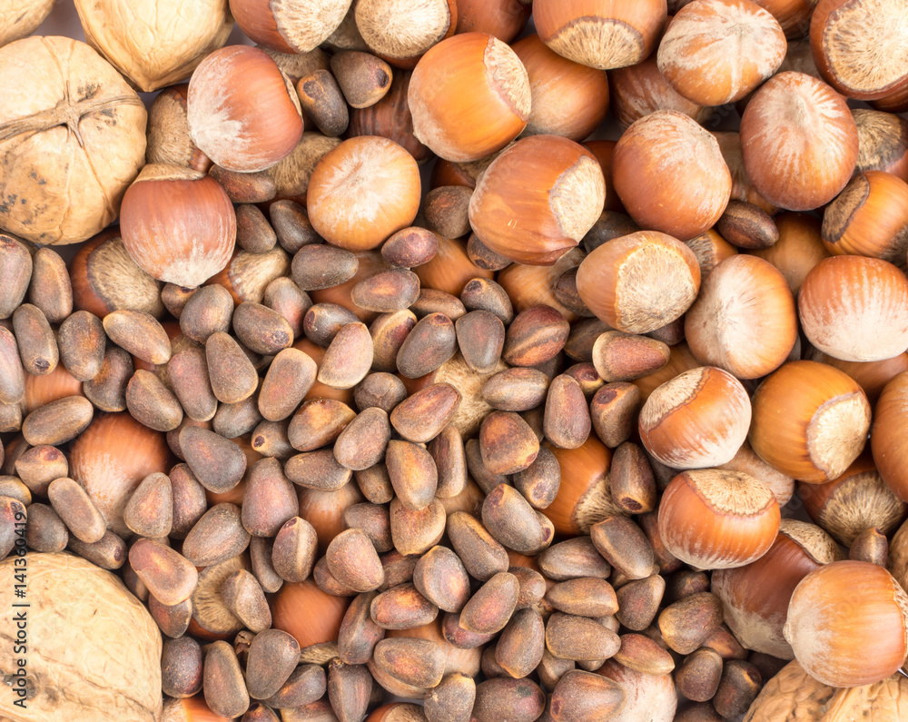 Collection of Walnuts and Hazelnuts in Shell Collection of Walnuts and Hazelnuts in Shell
