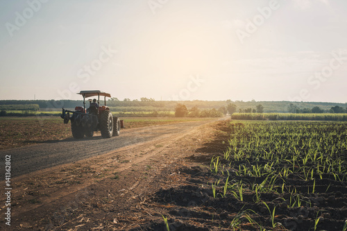 Tractor is going trough agriculture field 