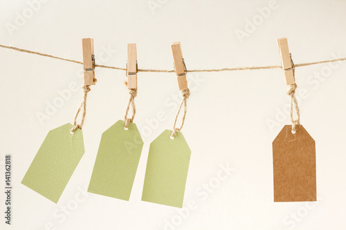 Blank cardboard price tags on a wooden clothespins