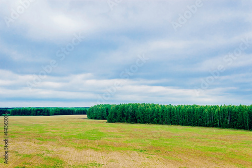plowed field and forest