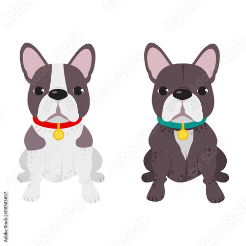 Domestic dog French Bulldog breed on the white background. Vector illustration