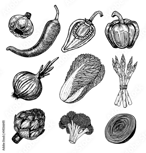 Set hand drawn elements with sketch style fresh vegetables. Different peppers.