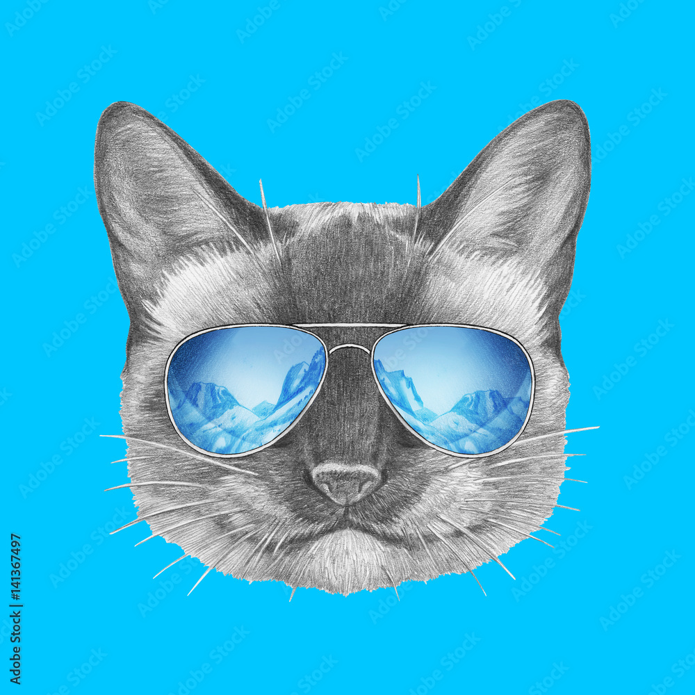Portrait of Siamese  Cat with mirror sunglasses. Hand drawn illustration.