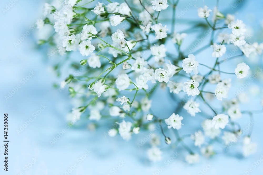Spring flowers against light blue background, selective focus Spring flowers against light blue background, selective focus