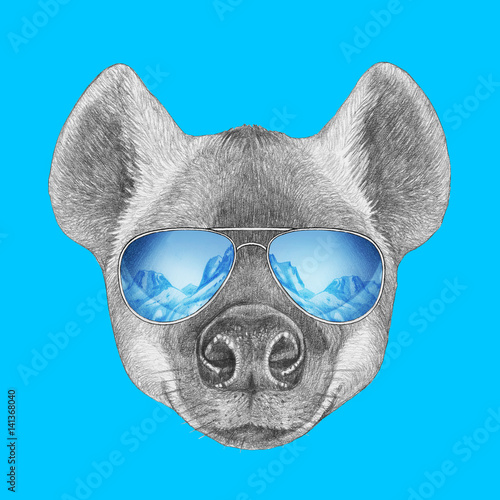 Portrait of Hyena with mirror sunglasses. Hand-drawn illustration.