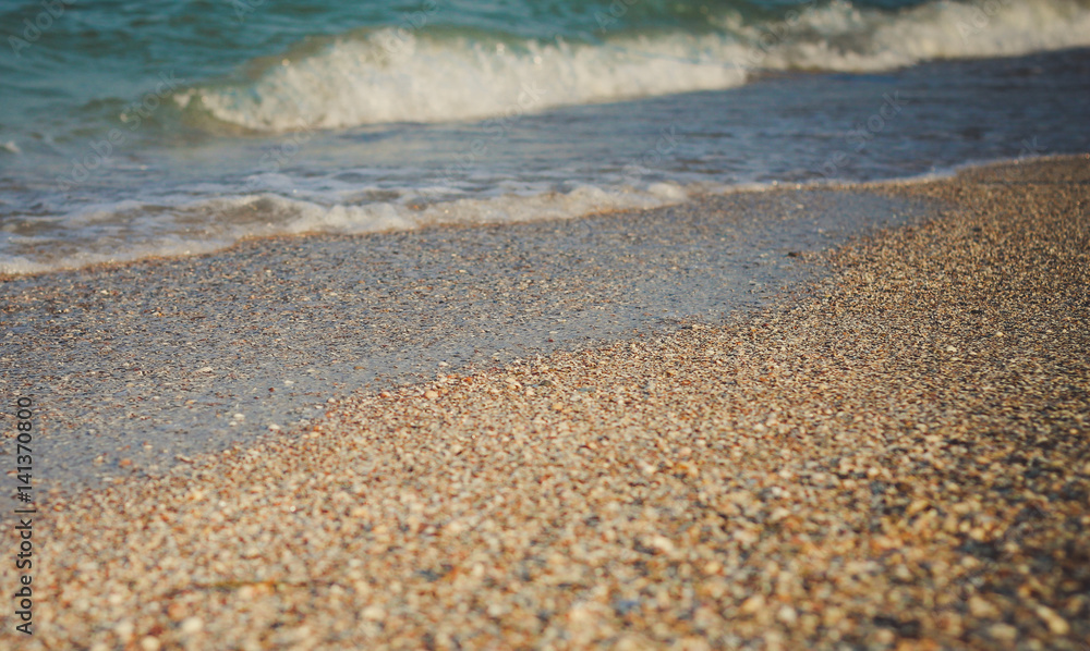 Beach, sea, shells Beach, sea, shells