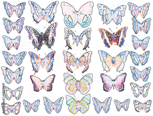 Cased Collection of Exotic Butterflies