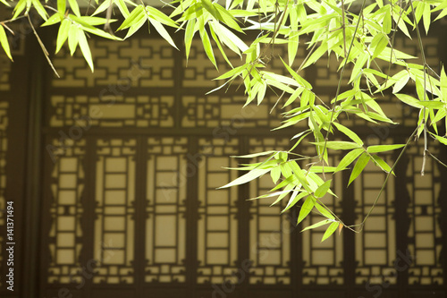 Bamboo leaves and asian style window, Wang jiang lou park, Chengdu, Sichuan, China photo