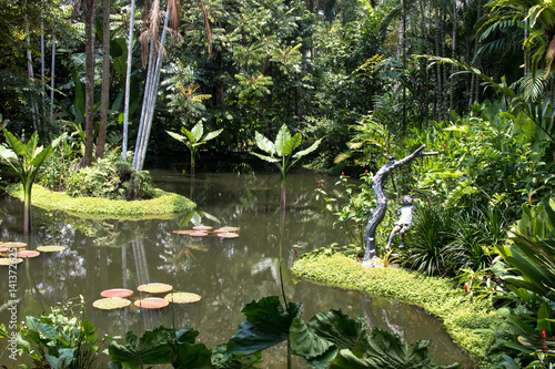 Teich im botanischen Garten Singapur