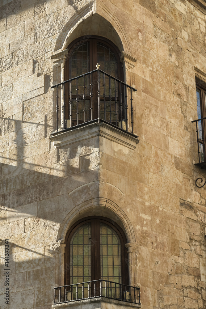 Salamanca (Spain): historic building