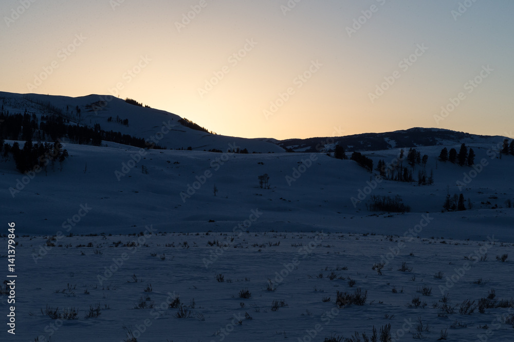 Evening winter light in Lamar Valley, Yellowstone.