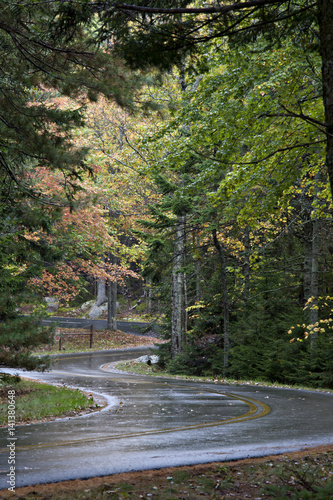 Beautiful, autumn tree lined, nicely paved winding road after a rainshower.