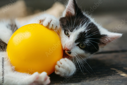 Cute kitten cat playing with yellow ball