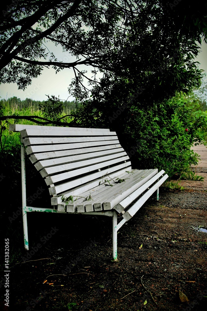 Fototapeta premium lonely bench
