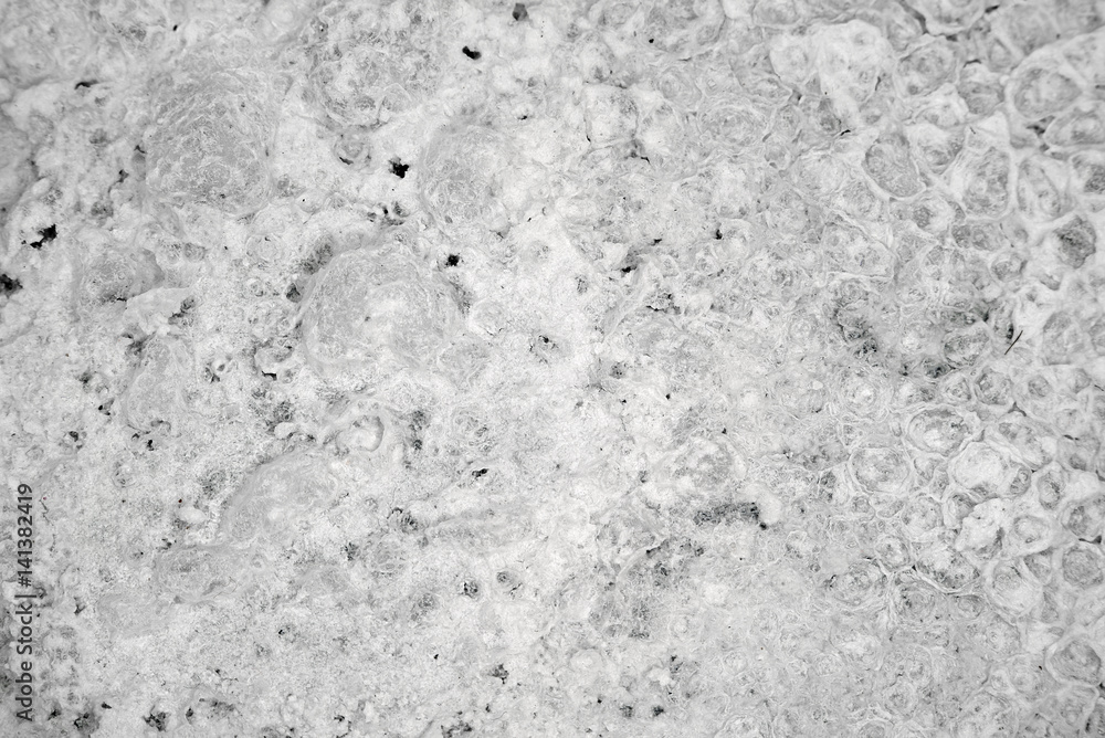 Fototapeta premium Close up white patchy background