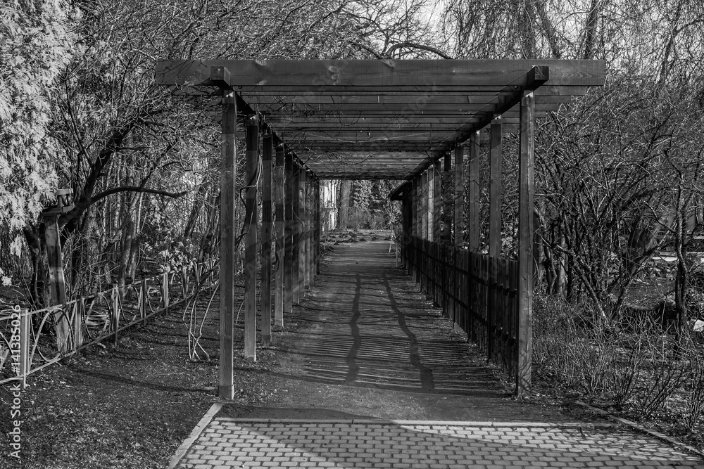 Wooden tunnel arch in Saint Petersburg botanical garden (public property) Wooden tunnel arch in Saint Petersburg botanical garden (public property)