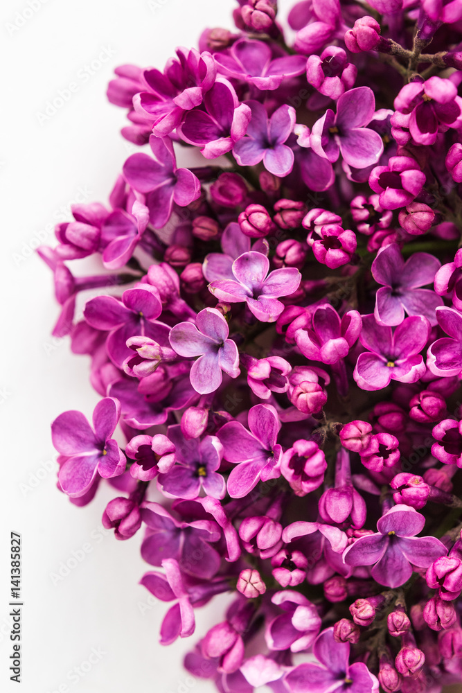 White background half filled with close up beautiful pirple lilac flowers. top view. flat lay. Concept of love, proposal, congratulation and spring.