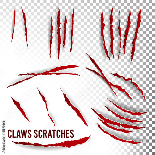 Claws Scratches Vector. Transparent Background. Realistic Illustration