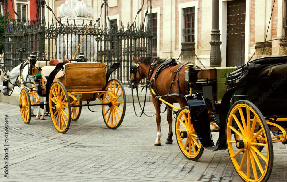 Horse carriage waiting in seville