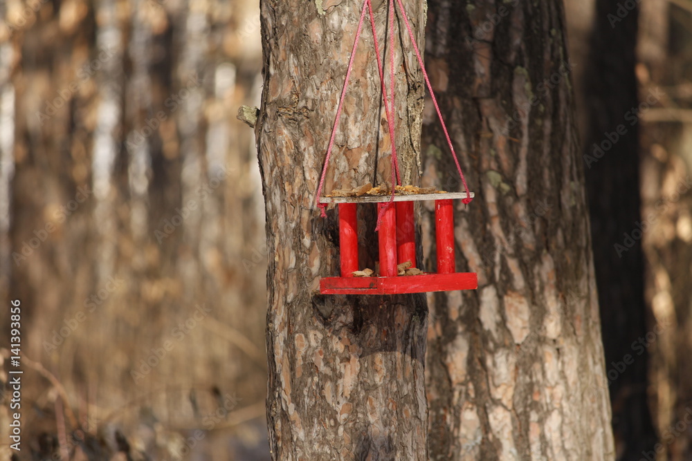 Fototapeta premium Nature, beauty, grove, trees