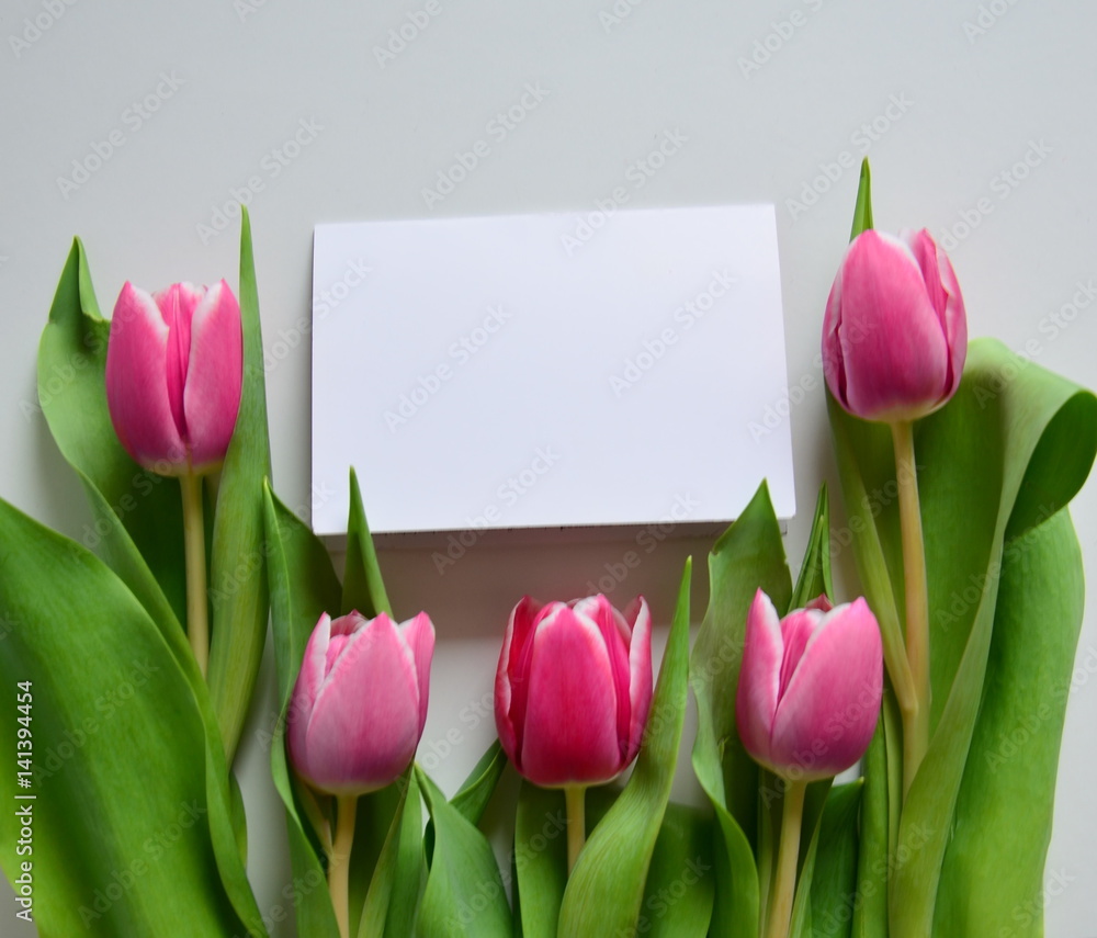 Naklejka premium tulipany