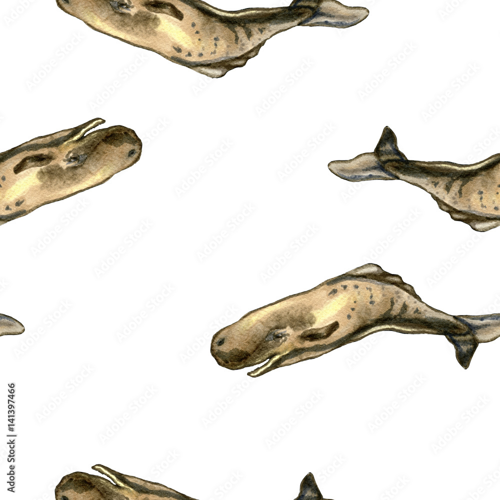 Seamless hand drawn pattern with sperm whales Seamless hand drawn pattern with sperm whales