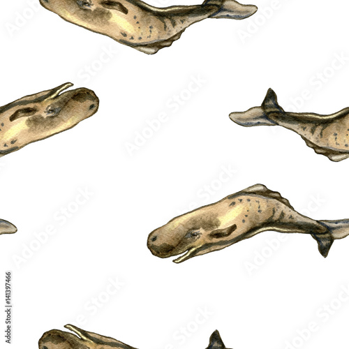 Seamless hand drawn pattern with sperm whales  © Kseniya