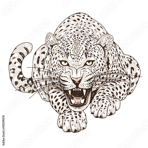 Leopard face tattoo ,Vector illustration, print