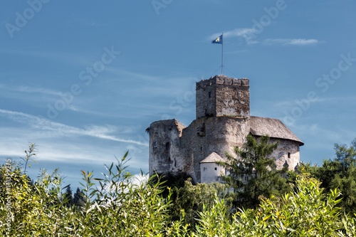 Castle Niedzica in Poland