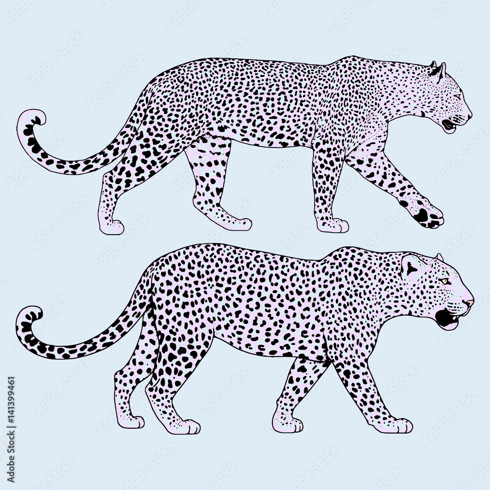 Obraz premium Leopard face tattoo ,Vector illustration, print