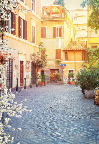 typical italian street in Trastevere with sunshine at spring day, Rome, Italy