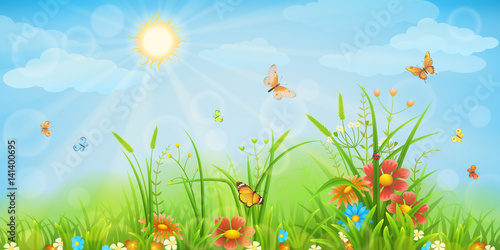 Summer meadow background with green grass  flowers and butterflies