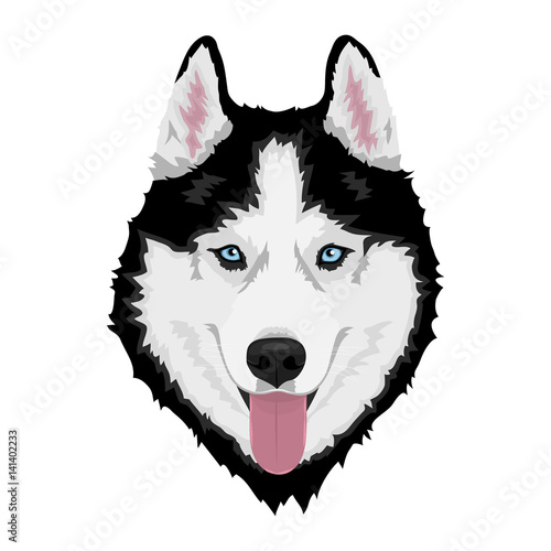 Black and white Siberian husky with blue eyes and sticking out tongue. Hand drawn portrait of dog. Vector illustration